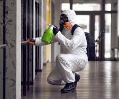 Best Mold Remediation for Healthcare Facilities in Gatlinburg, TN